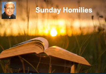 Sunday Reflection